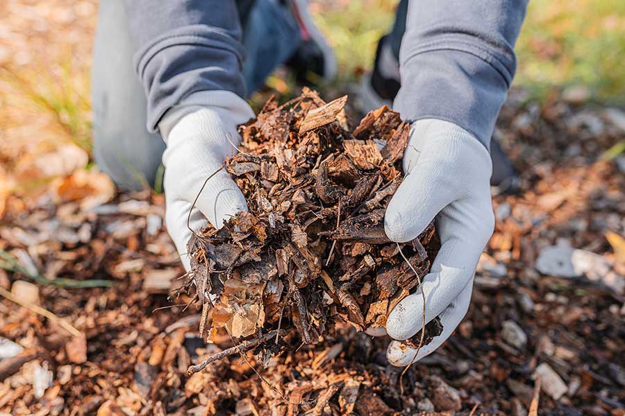 Mulching beds will absorb water and allow it to release slowly into the soil to prevent water logging